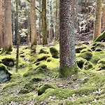 Birke 度假居 比斯科夫斯麦斯